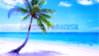 Background.jpg Background.jpg