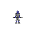 trll gaurd.png