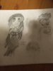 character design.jpg