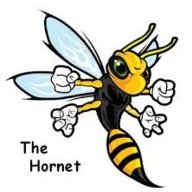 Mopeyhornet