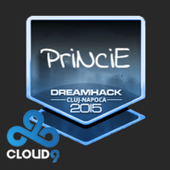 PriNciE Gaming channel