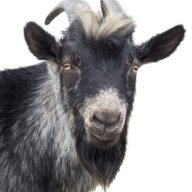 I Iz Goat