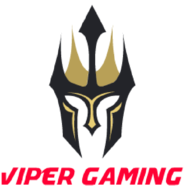 ViperGaming bradleigh