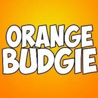 OrangeBudgie