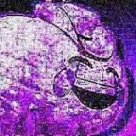 stormleghost