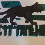 The11thPanther