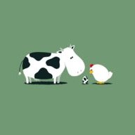 Mooey K