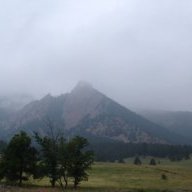 andrewm -Vines Daily