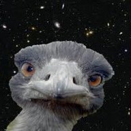 CosmicOstrich