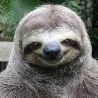 Barbaquedsloth