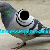 FlawlessPigeon Gaming