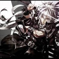 DSiFighter