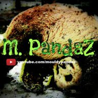 Mouldy Pandaz