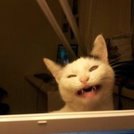 fluffysnugglebuns