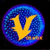 Volvox