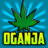 Oganja
