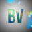 BvDesigns