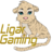 LigarGaming