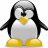 TheSeaPenguin