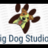 Big Dog Studios