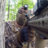Iron Rangers Airsoft