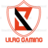 LilRG Gaming