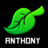 AnthonyDH