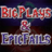 BigPlaysEpicFails