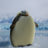 ChubbyPenguin