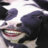 DinoCatPanda