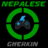 Nepalese Gherkin