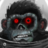 moonmonkeyhinz