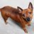 bily